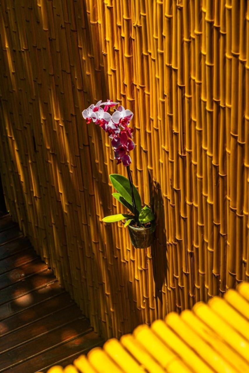 Nosso Mar Hotell Florianópolis Eksteriør bilde